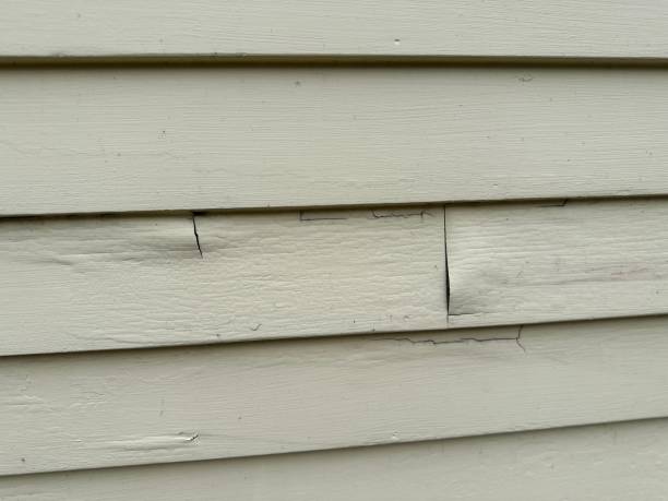 Best Vinyl Siding Installation  in Mckinleyville, CA